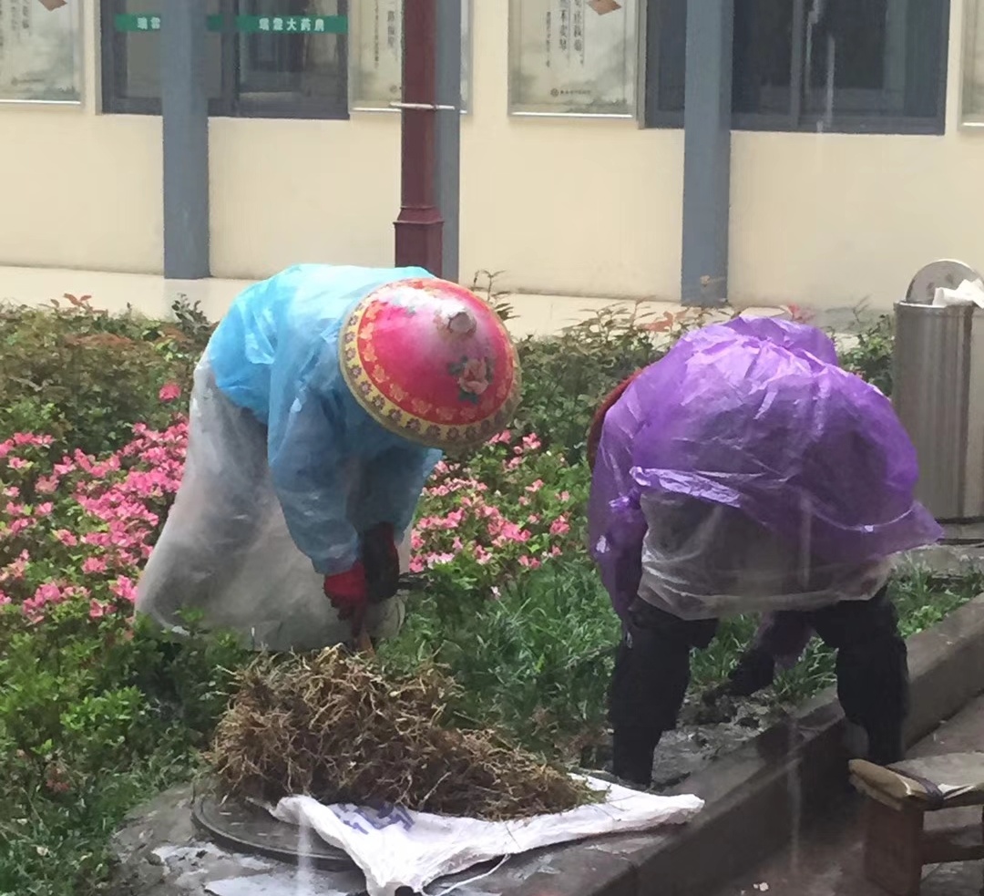 姓 名 学 校 班 级 周奕宸 县第二实验小学 六(7 爱护花草从我做起