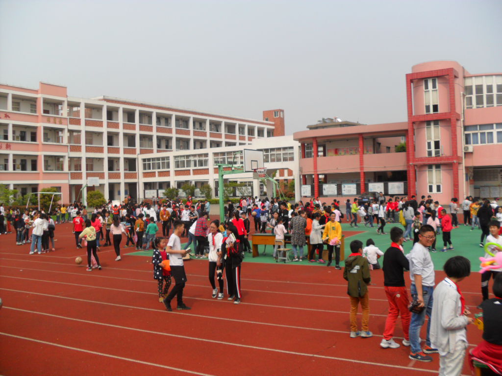 姓 名 学 校 班 级 周宇航 嘉善县陶庄小学 六(2)