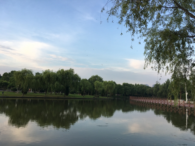 清晨的柳州公园空气清新,环境优雅,吸引不少市民前来早锻炼.